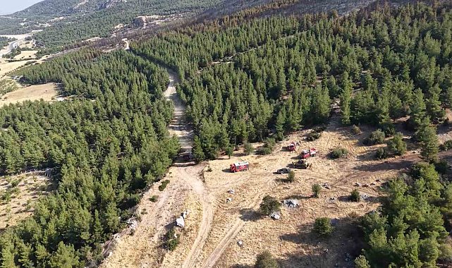 Denizli'de yanan orman sahası havadan görüntülendi