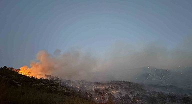 Denizli'deki orman yangını kontrol altına alındı
