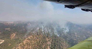 Denizli'den Aydın'a sıçrayan yangında müdahale çalışmaları sürüyor