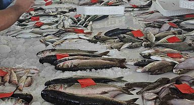 Didim'de ilk balık mezatı gerçekleştirildi
