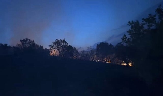 Diyarbakır'da ağaçlık alanda korkutan yangın: Alevlerin yaklaştığı ev tahliye edildi