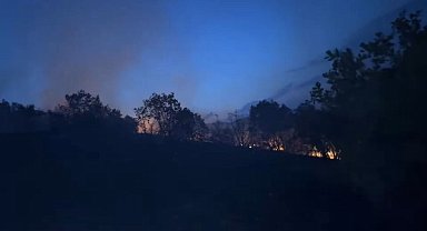 Diyarbakır'da ağaçlık alanda korkutan yangın: Alevlerin yaklaştığı ev tahliye edildi