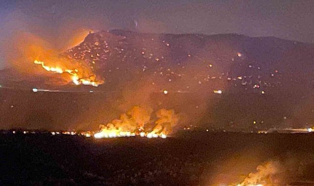 Diyarbakır'ın 2 ilçesinde çıkan yangın söndürüldü
