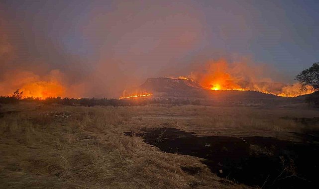 Diyarbakır'ın 3 ilçesinde etkili olan yangına müdahale devam ediyor