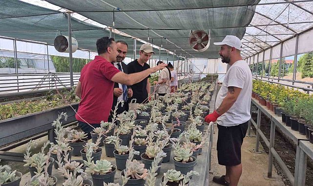 Doğal afetlere akıllı sera ile çözüm