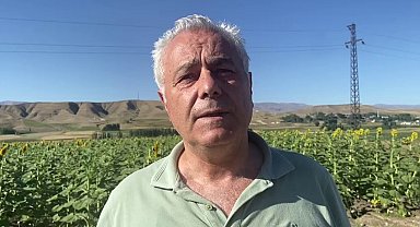 Doğu'da ayçiçeği ve mısır üretimi artıyor