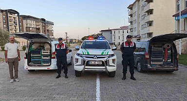 Doğubayazıt'ta kaçak kurbağa avcılığına jandarma operasyonu