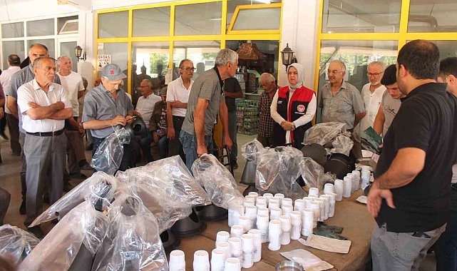 Düzce'de kahverengi kokarca ile mücadele devam ediyor