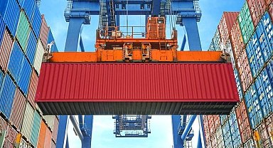 Düzce'den 8 bin 849,5 ton orman ürünü ihraç edildi