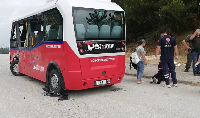 Düzce'de kamyon ile minibüs çarpıştı: 7 yaralı