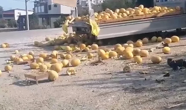 Düzce'de kaza: Kavunlar yola saçıldı