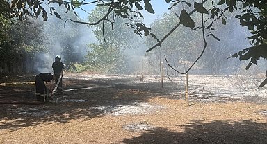 Düzce'de otluk alanda çıkan yangın kontrol altında