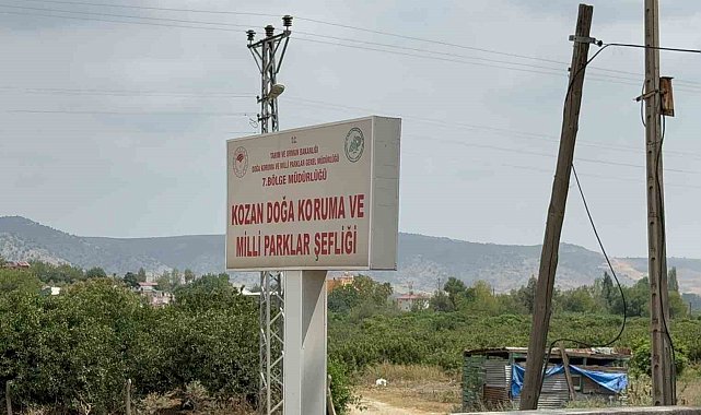 Ebabil kuşunu esnaf hayatta tutmaya çalıştı
