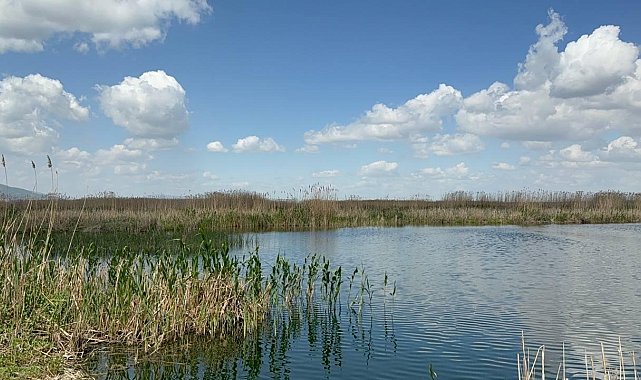 Eber Gölü'nde su seviyesi 5 santimetreye kadar düştü