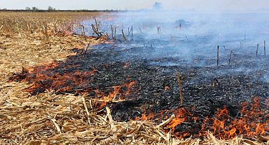 Edirne İpsala'da 5 kişiye 'anız yakma' cezası!
