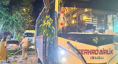Edirne'de ağaç devrildi, 2 araç hasar gördü
