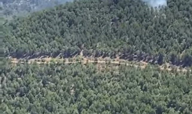 Ekiplerin anında müdahalesi felaketi önledi