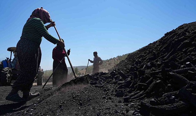 Ekmeğini kömürden çıkaranlar: Mevsimlik kömür işçileri