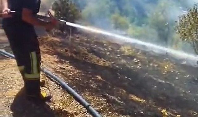 Elazığ'da bahçe yangını söndürüldü