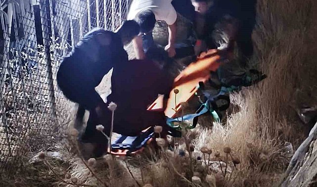 Elazığ'da istinat duvarından düşen kişi ağır yaralandı