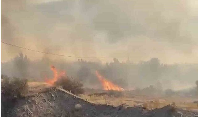 Elazığ'da örtü yangını söndürüldü
