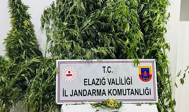 Elazığ'da uyuşturucuyla mücadele
