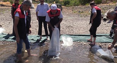 Elazığ'daki su kaynaklarına 5 milyon 786 bin yavru sazan bırakılacak