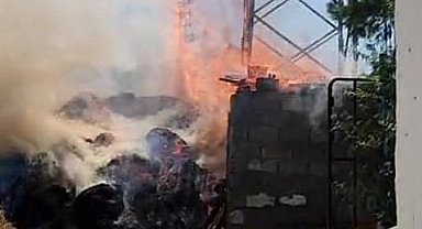 Elektrik kabloları odunlukta yangına neden oldu