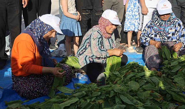 Ellerindeki iğnelerle ödülü alabilmek tütünleri dizmek için kıyasıya yarıştılar