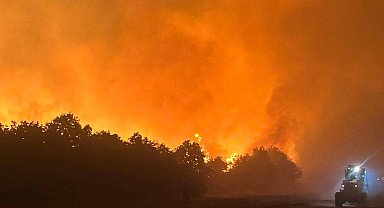 Enez'deki orman yangını kontrol altına alındı