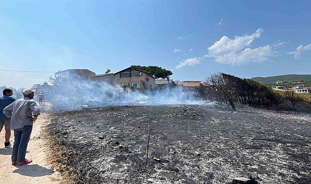 Erdek'te arazi yangını kısa sürede söndürüldü: Can ve mal kaybı yaşanmadı