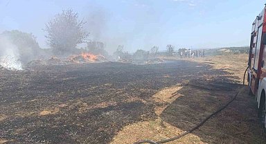 Erdek'te zeytinlik ve otluk alanda çıkan yangın söndürüldü