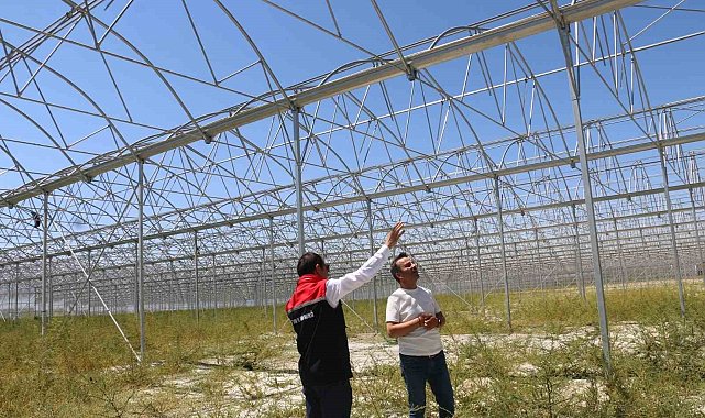 Erzincan'da jeotermal sera yatırımları devam ediyor