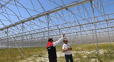 Erzincan'da jeotermal sera yatırımları devam ediyor