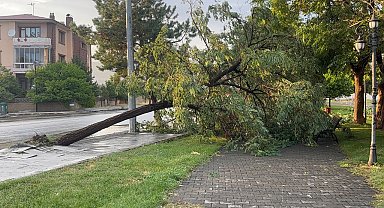 Erzincan'da sağanak ve fırtına hayatı felç etti