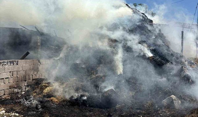 Erzincan'da samanlık ve ahır yandı