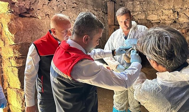 Erzurum'da hastalık takibi kararlılıkla devam ediyor