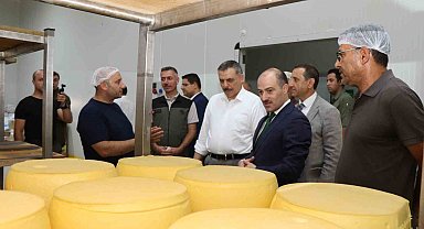 Erzurum'da kaşar üretimi yaygınlaşıyor