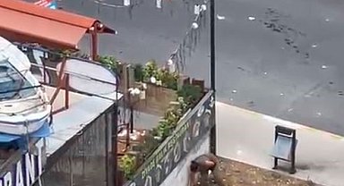 Esenyurt'ta bir kadın yoldan geçen araçlara taşla saldırdı