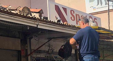 Eskişehir'de esnaf hergün çatıya tırmanıp kedileri besliyor