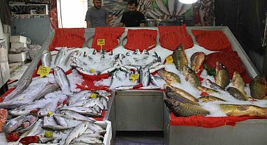 Esnafta 'balık sezonu' hazırlığı