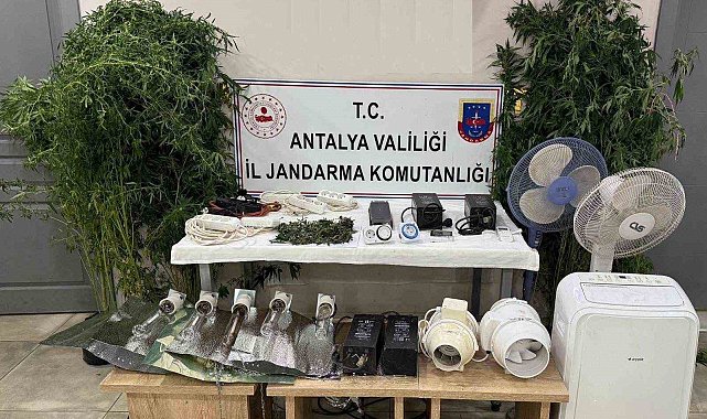 Evini uyuşturucu serasına çevirdi, kaçamadı