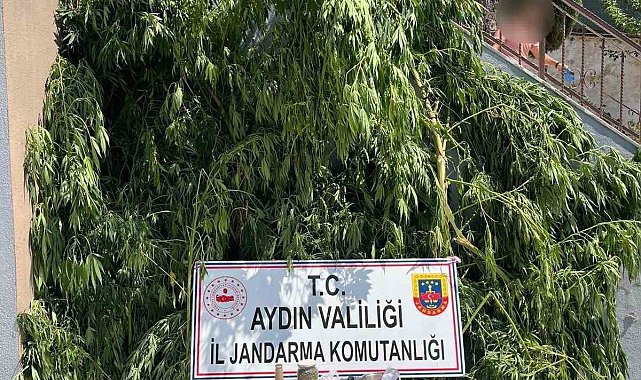 Evinin bahçesine saklamak istedi, narkotik köpeğine takıldı