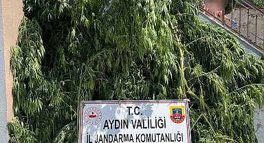 Evinin bahçesine saklamak istedi, narkotik köpeğine takıldı