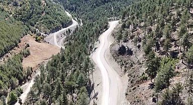 Feke'de 75 yıl sonra genişletilen yollar ormanın güzelliğini ortaya çıkardı