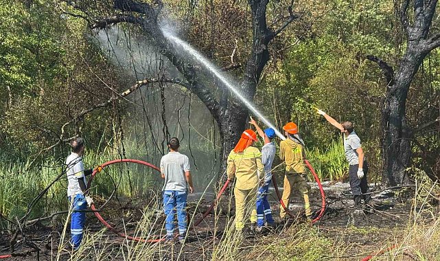 Fethiye Akmaz Plajı'nda çıkan yangın kontrol altına alındı