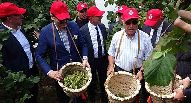 Fındıkta hedef 5 milyar dolar ihracat geliri