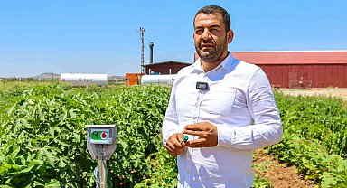 Gaziantep Büyükşehir, ata tohumlarına sahip çıkıyor