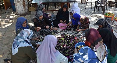Gaziantep'te kadınların imece usulü kurutmalık telaşı
