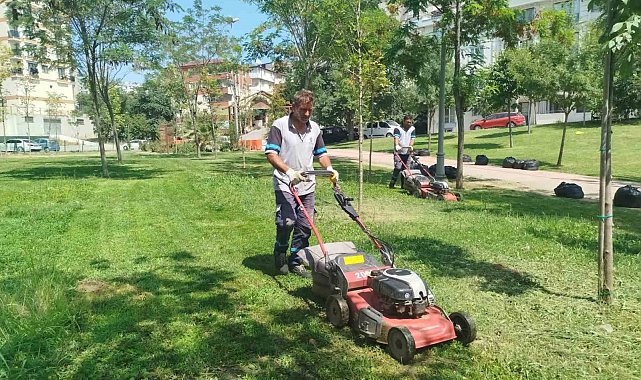 Gebze Tatlıkuyu Vadisi Kent Parkı'na düzenli bakım